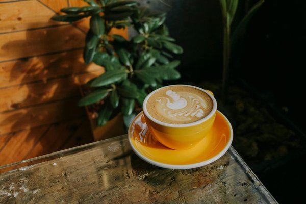 Les bienfaits de la marche consciente pour apaiser le stress des femmes actives : découvrez comment se ressourcer!